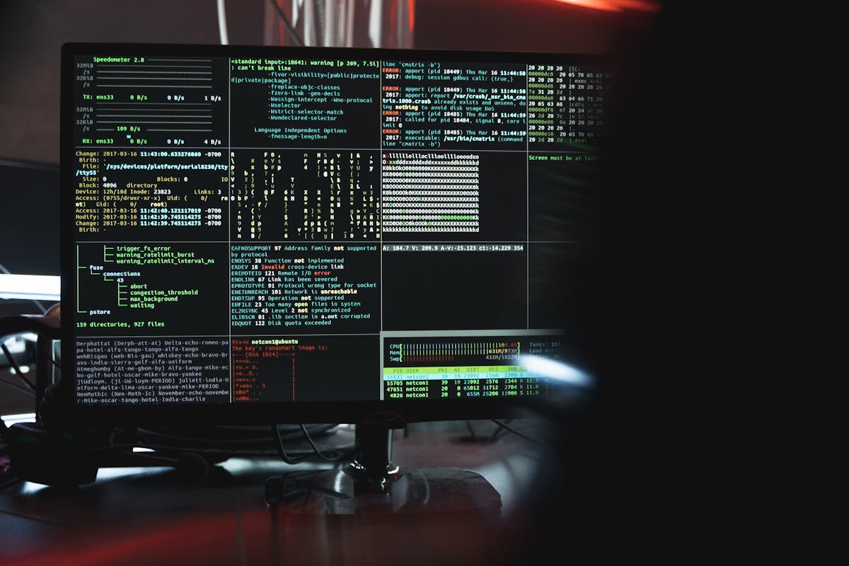 Virus borraron mis archivos: recuperación y prevención